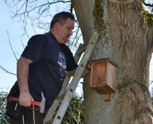 Nistkästen3